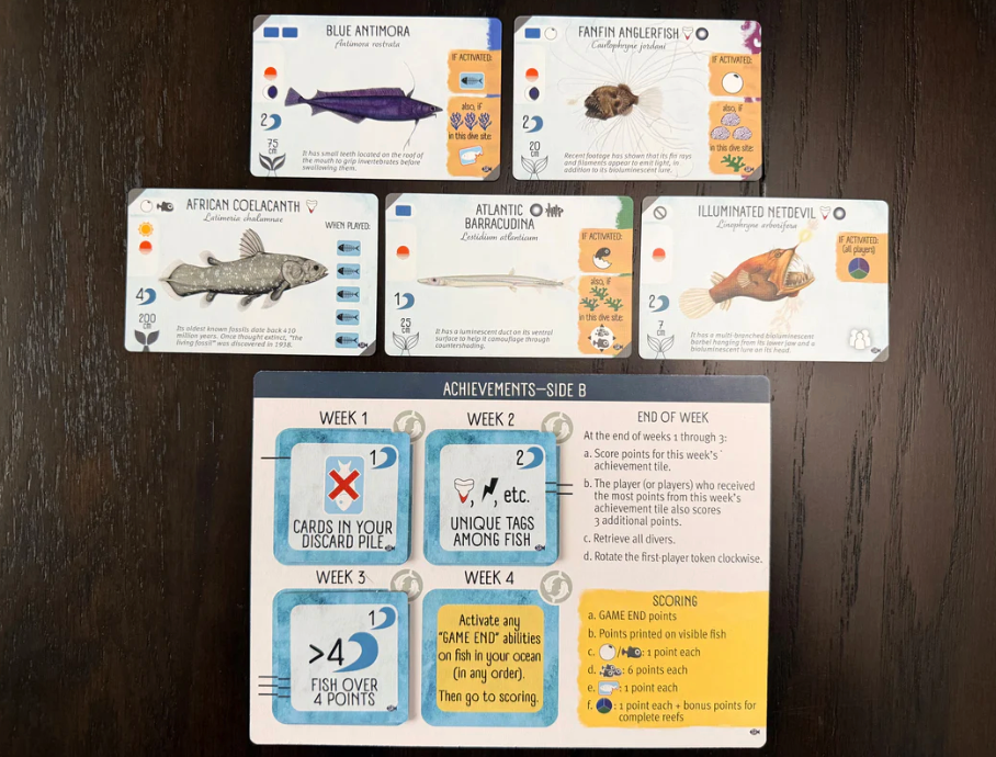 Finspan: Sharks and Reefs Expansion (Not a stand-alone game)