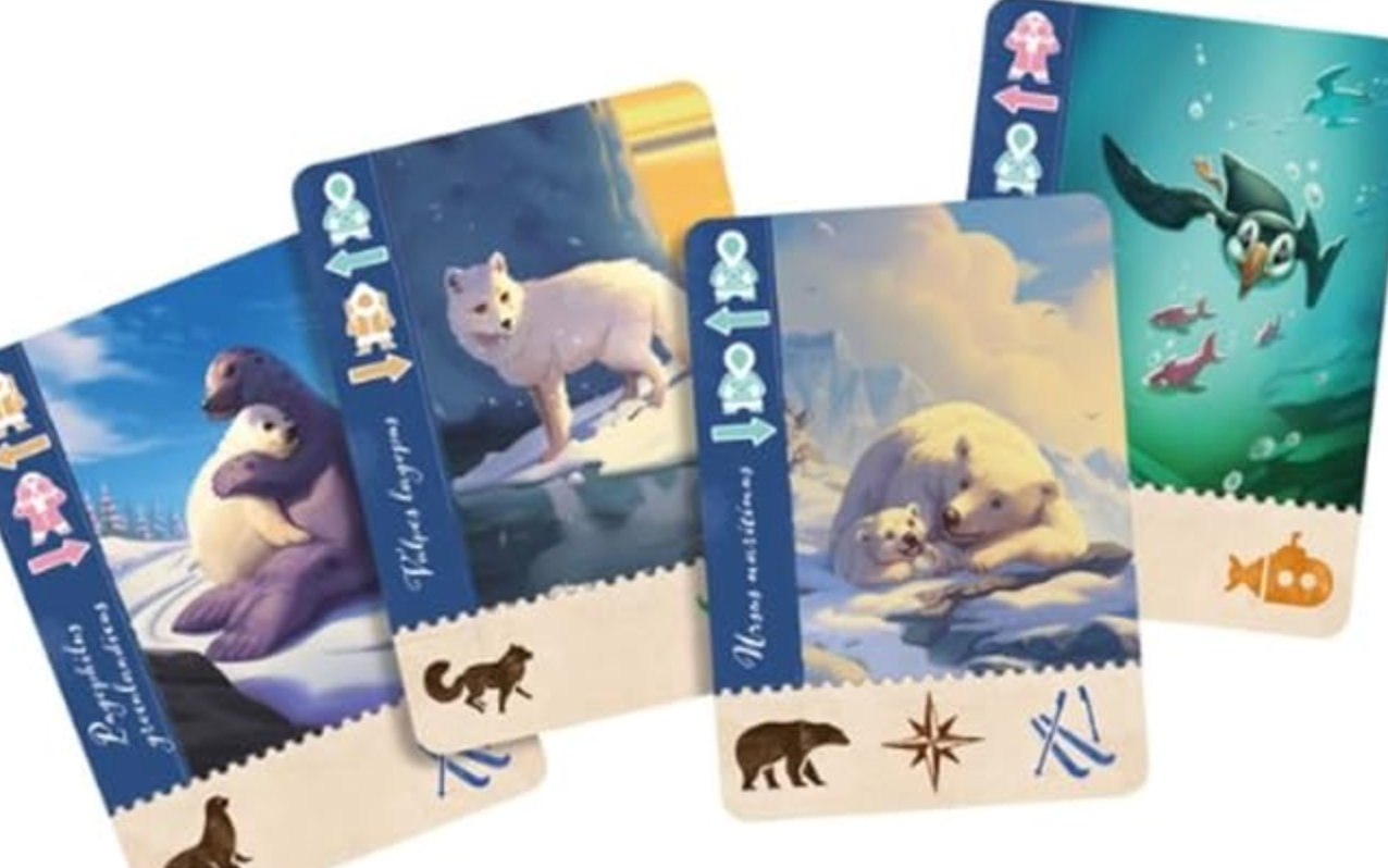 Borealis: Arctic Expeditions