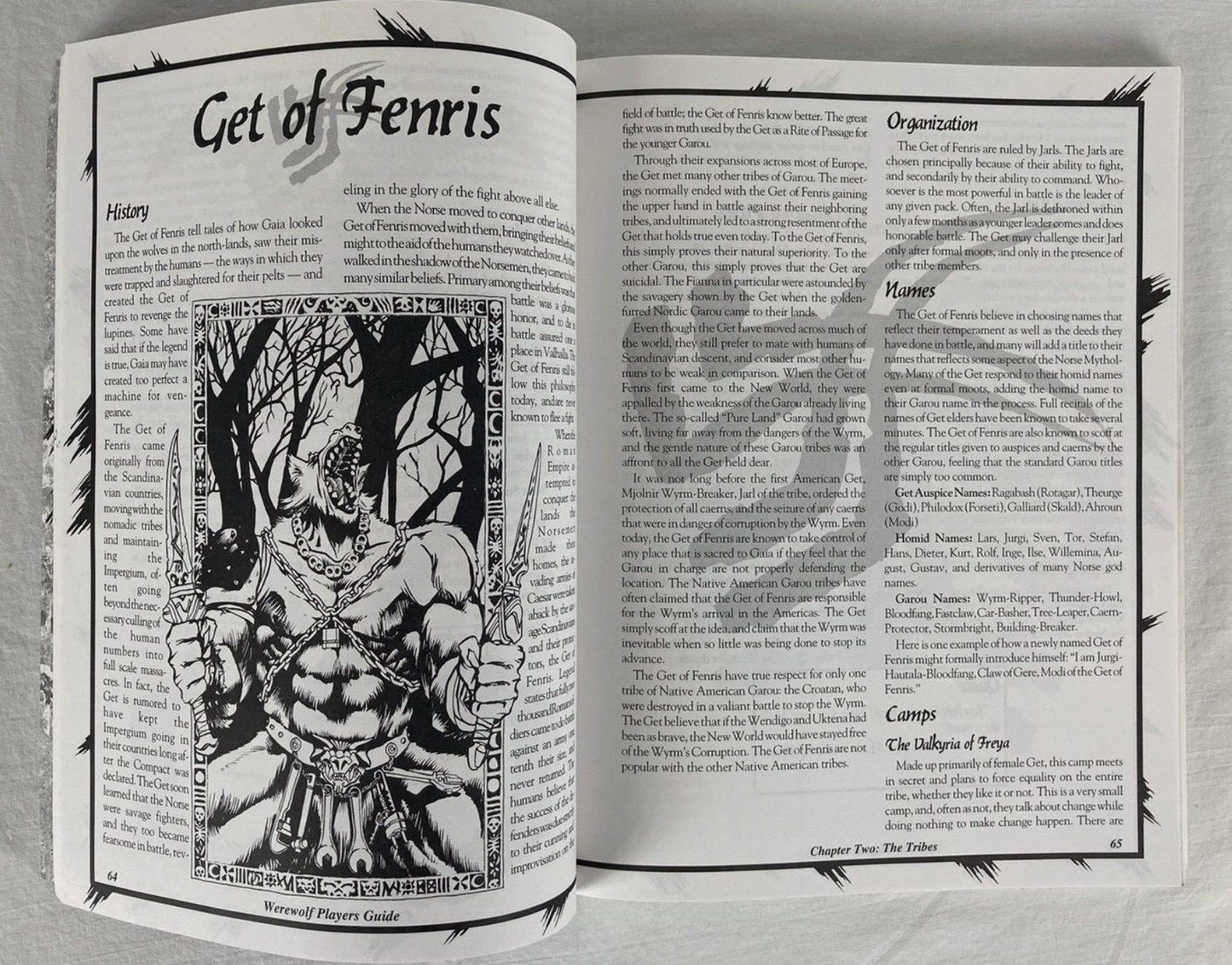 The Werewolf Players Guide