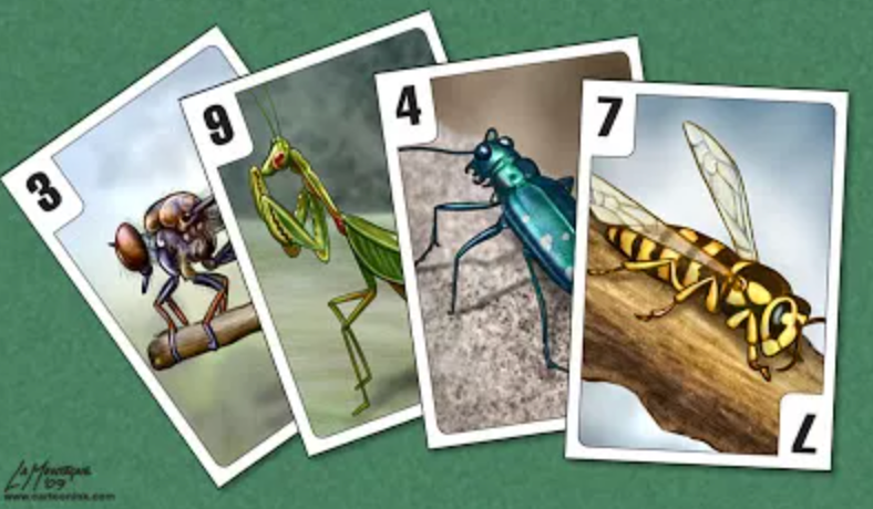 Bugs!