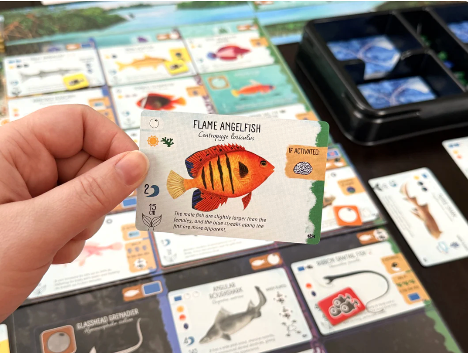 Finspan: Sharks and Reefs Expansion (Not a stand-alone game)