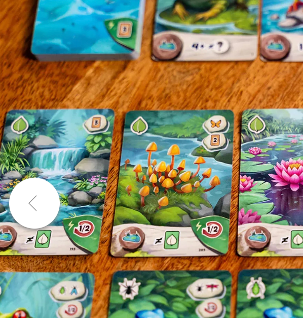 Pondscape