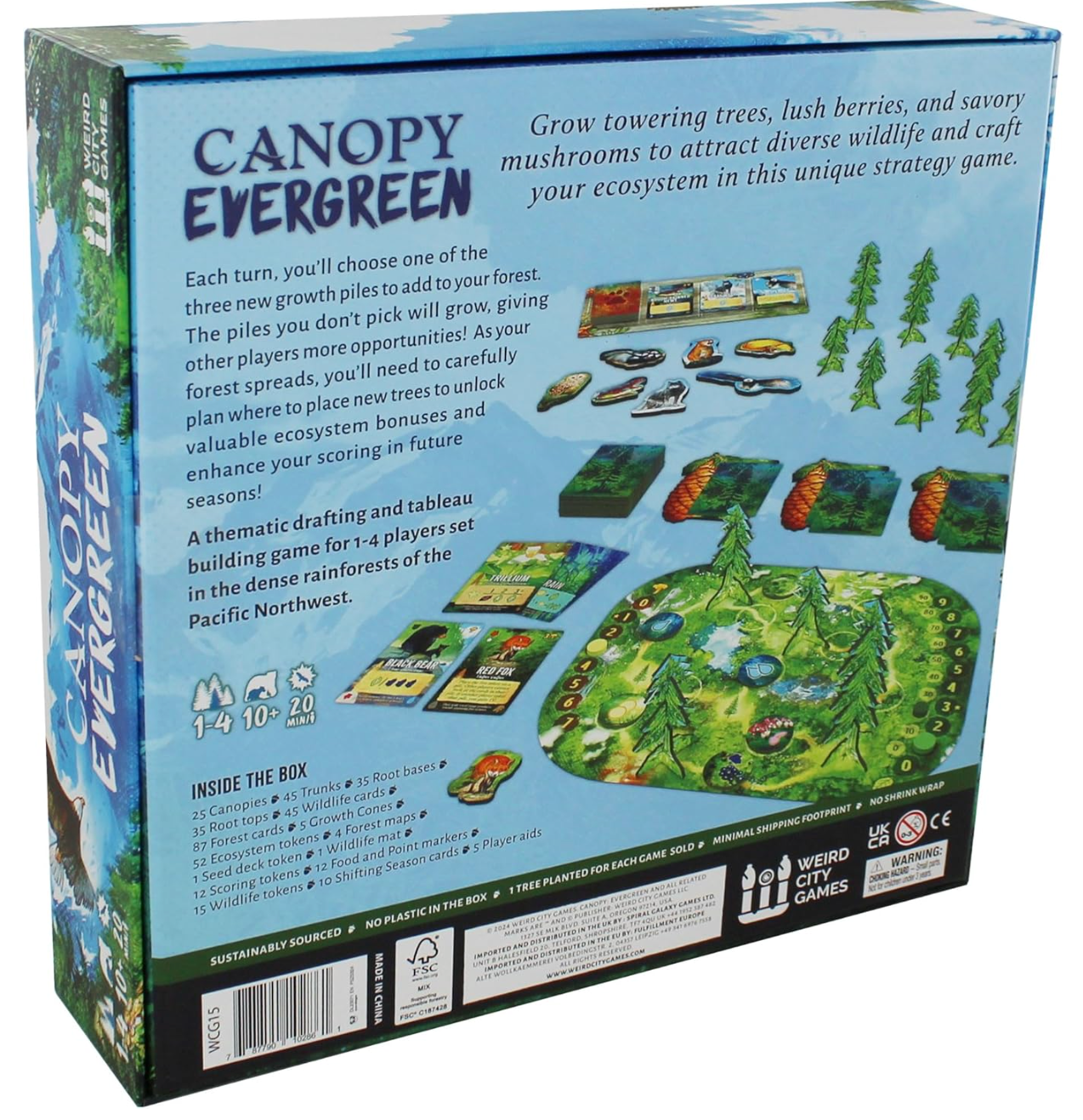 Canopy Evergreen