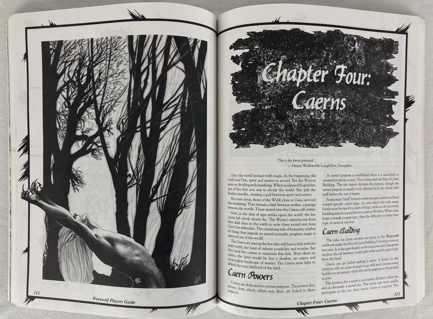 The Werewolf Players Guide